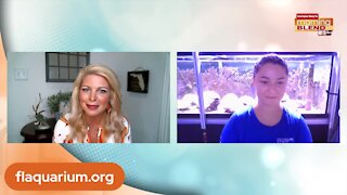 The Florida Aquarium | Morning Blend