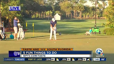 5 fun things to do this weekend