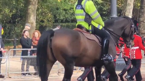 Sikh cold stream guard #buckinghampalace