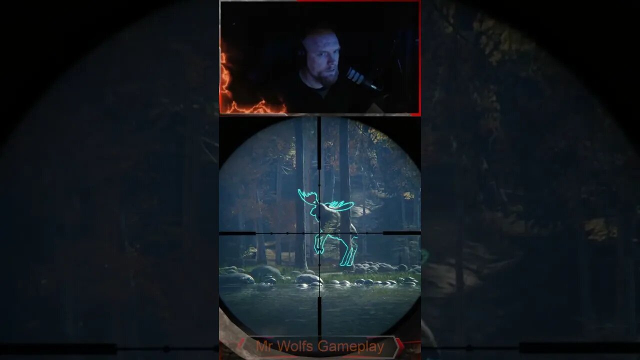 It Was a Diamond #callofthewild #cotw #game #mrandmrswolfgaming #shorts