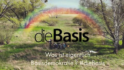 Was ist eigentlich Basisdemokratie? #dieBasis