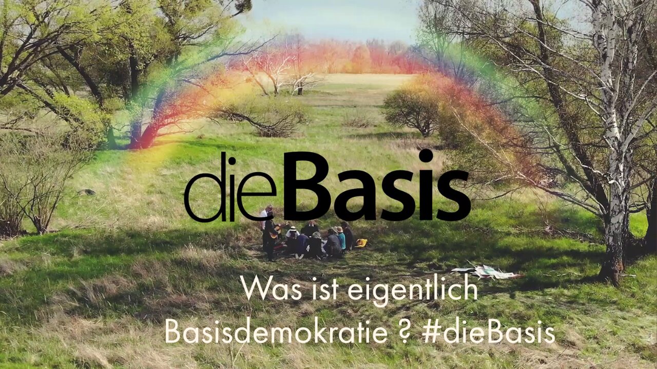 Was ist eigentlich Basisdemokratie? #dieBasis