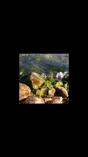 That's The Most Beautiful Thing You Can Ever See In Your Life