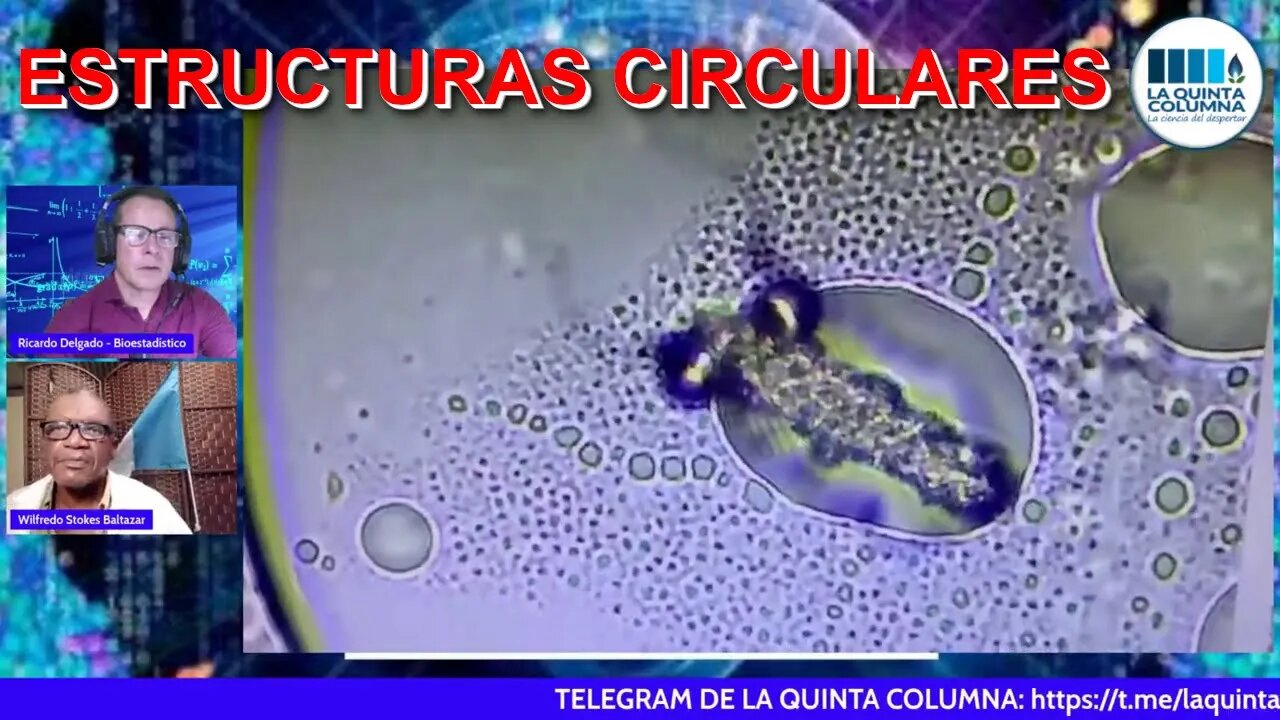 ESTRUCTURAS CIRCULARES