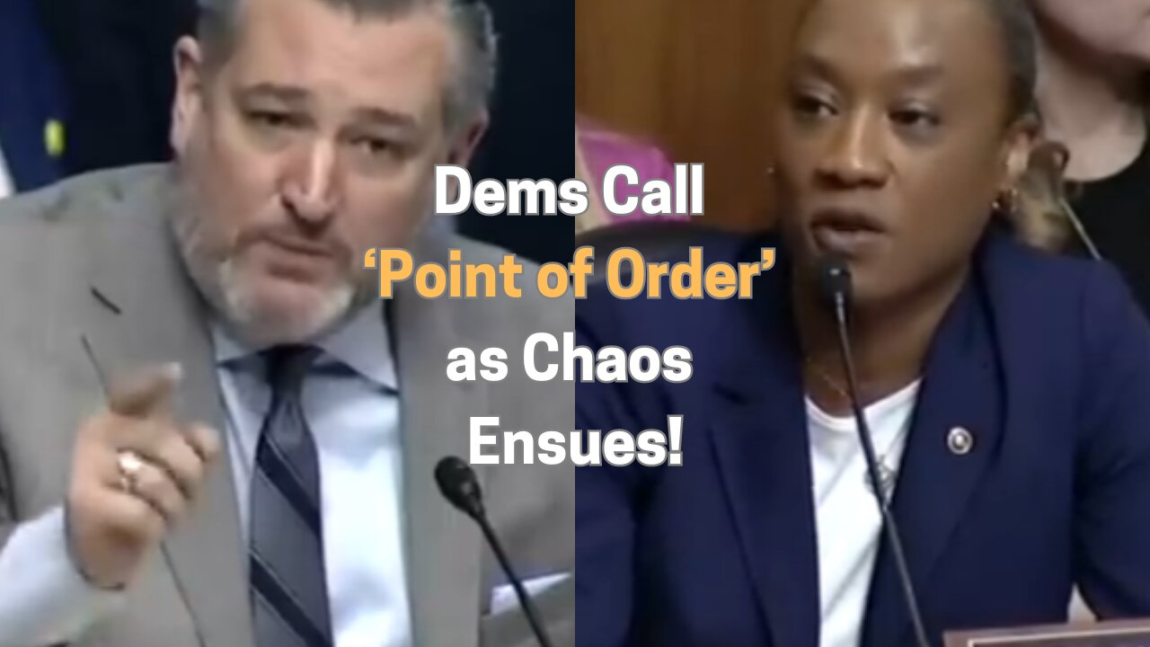 Dems Calls Point of Order As Chaos Ensues! part 2