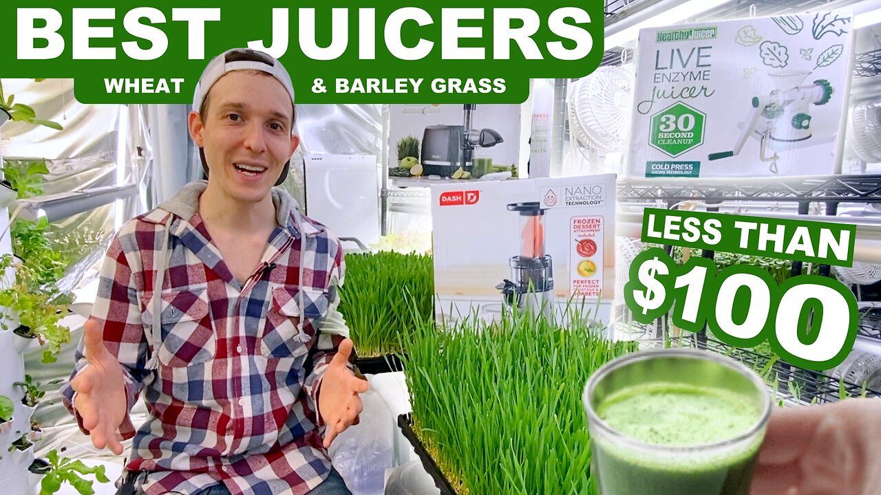 What's The BEST Wheatgrass & Barley Grass Juicer For Less Than $100?