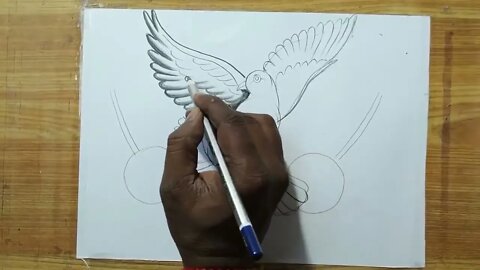 how to draw a pigeon and rose flowers with pencil sketch