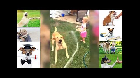 The Best of funny moments with cute dogs Try Not To Laugh Dog Training System