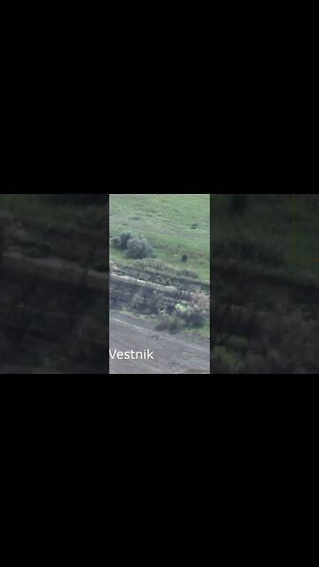 Death of a group of Ukrainian saboteurs, Mykolaiv region