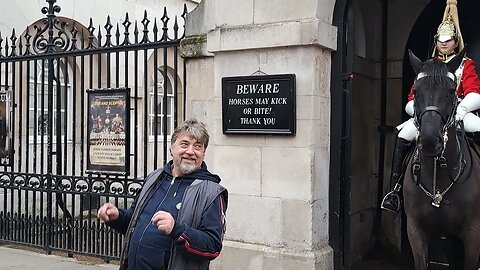 Horse grabs him by the shoulder #horseguardsparade