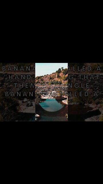 RANDOM FACTS! #shorts #facts #mindblowingfacts #viralshorts #fyp #life