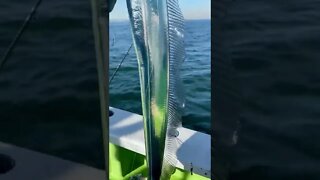 Fishing Time Tiktok lovefishing8