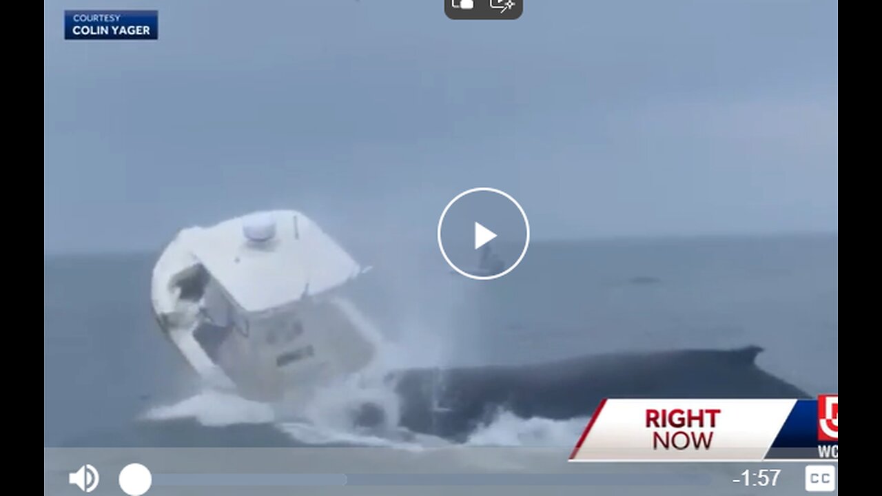 WHALE CAPSIZED A FISHING BOAT WHEN IT SURFACED AND LANDED ON THE BACK OF THE BOAT