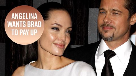 Angelina Jolie says Brad's millions don't count as child support