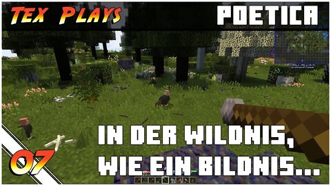 Minecraft Poetica (Terrafirmacraft 1.12) | "In der Wildnis, wie ein Bildnis..." [07]