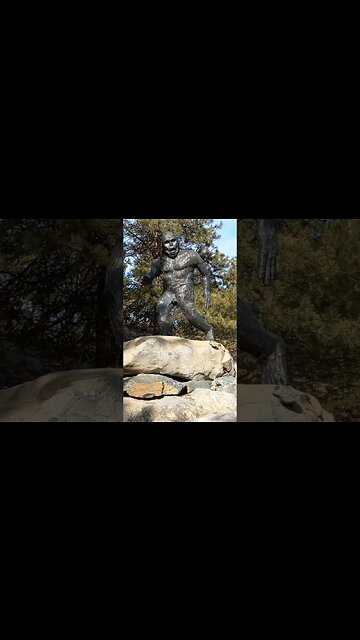 I saw a big Big Foot. #bigfoot #shorts