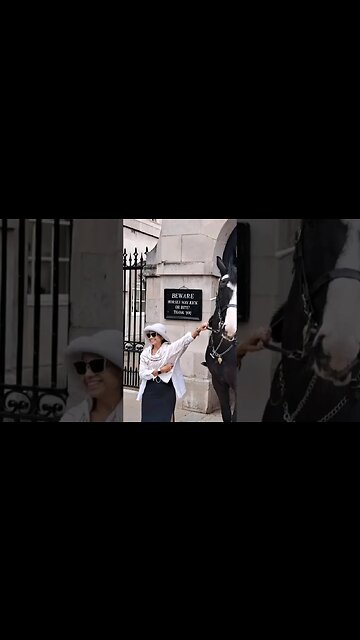 SHE PULLS THE RAINS #horseguardsparade