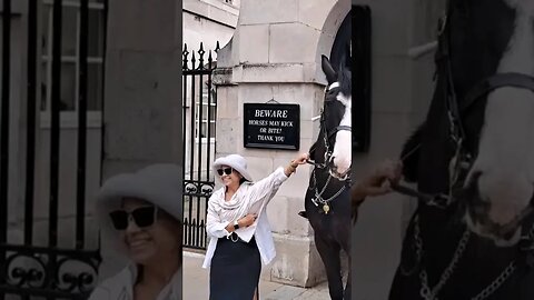 SHE PULLS THE RAINS #horseguardsparade