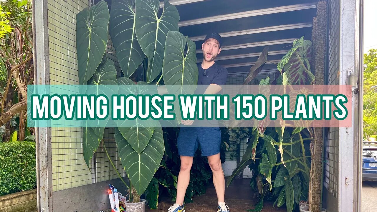 MY PLANTS & I GOT KICKED OUT OF OUR APARTMENT - moving vlog