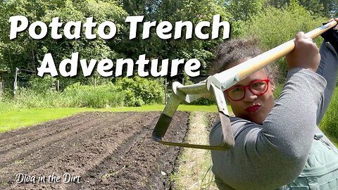 Trenches, Potatoes, and Garden Miracles! | Urban Homestead VLOG