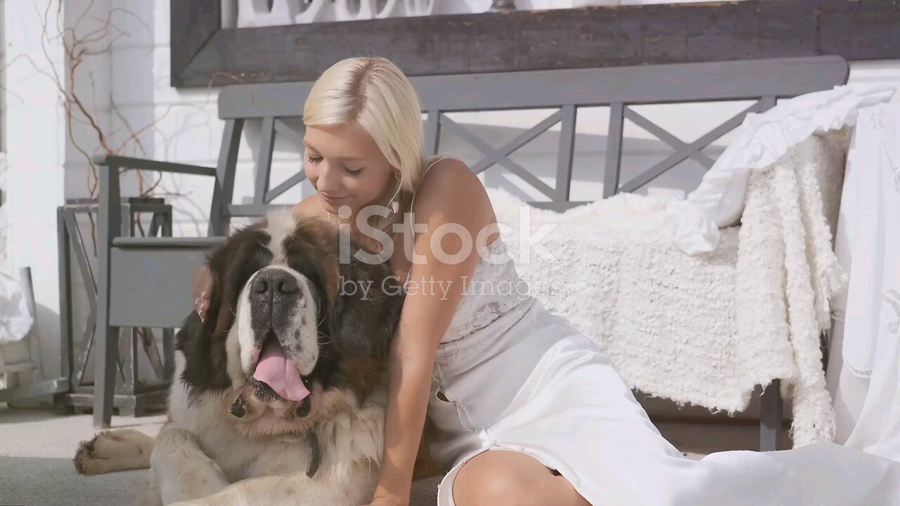 World Biggest Dog