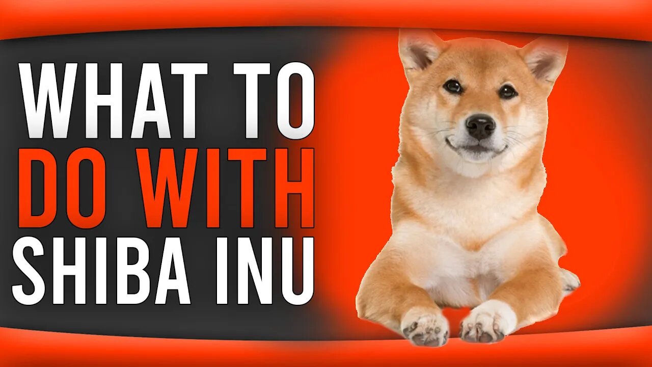 SHIBA INU COIN ANALYSIS