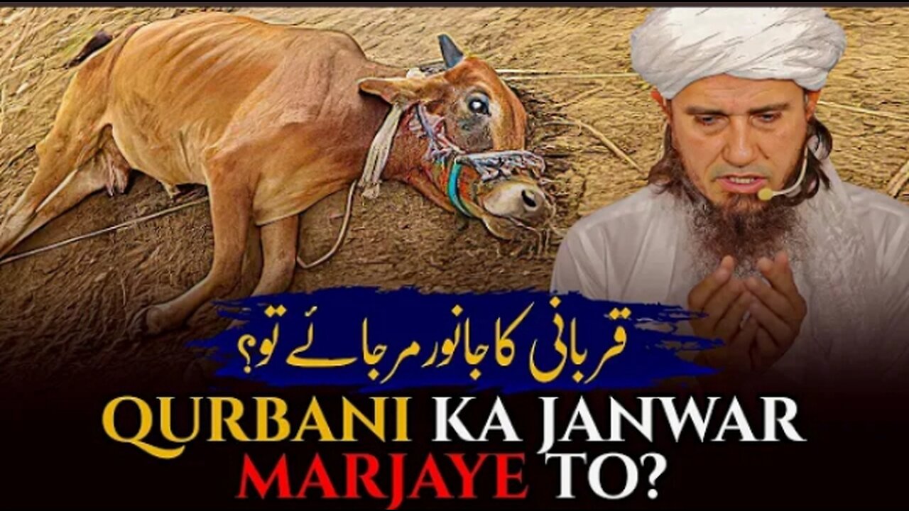 Qurbani ka Janwar Mar Jaaye tou | Mufti Tariq Masood