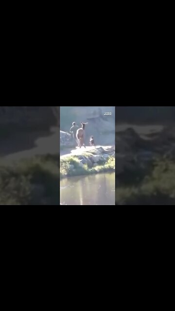 Sometimes Motivation Will Find You Whether You Want It or Not