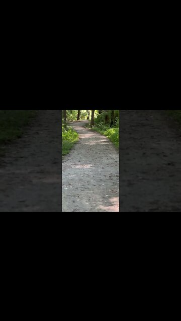 Out in the Woods #outdoors #shorts