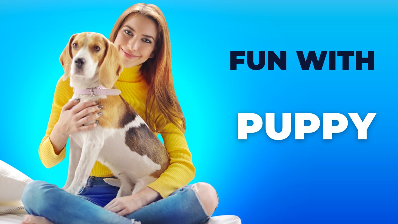 Funny Puppy video