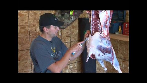 Michael Furseth Deer Skinning and Butchering on Midwest Outdoors