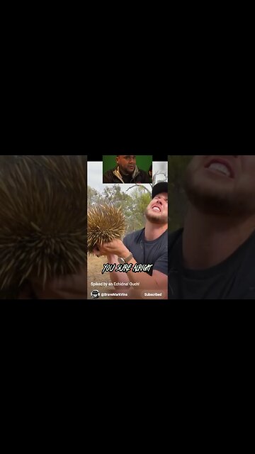 Are You Ok? #ytshorts #ytshort #newshorts