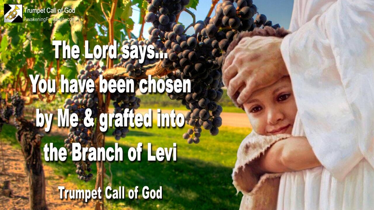 Aug 31, 2004 🎺 Timothy, you've been chosen by Me and are grafted into the Branch of Levi