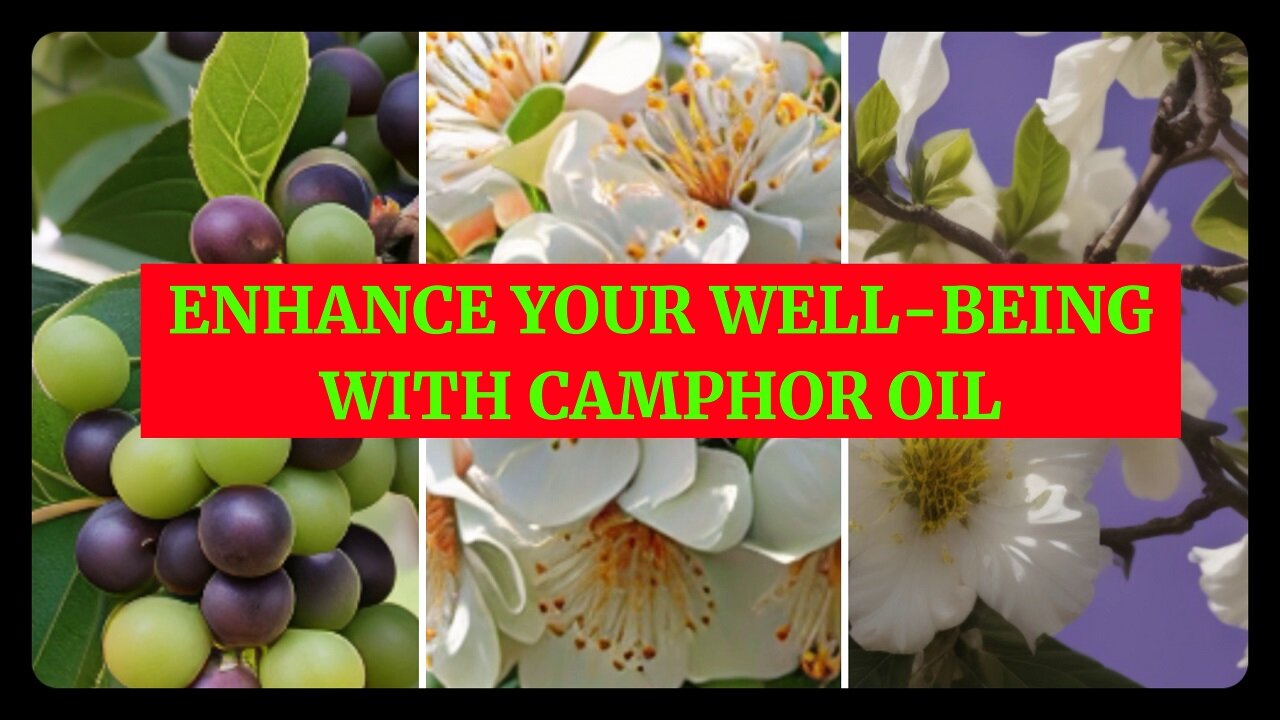 Enhancing Your Well-being with Camphor Oil: Using Camphor Oil for Health Benefits