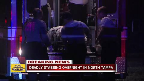 Tampa PD investigating fatal stabbing in North Tampa