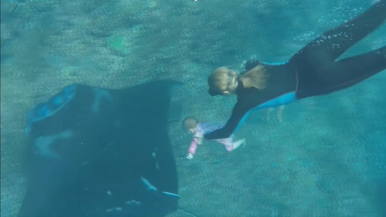 baby swims underwater with stingrays