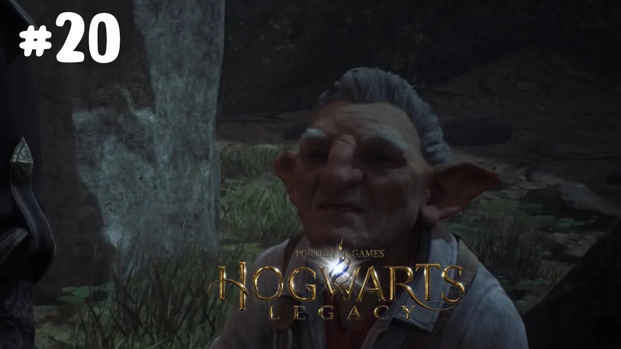 Hogwarts Legacy Full Playthrough Part 20