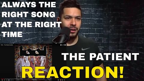 Tool - The Patient (Reaction!) | Thoughts on scheduling which days we react to what?