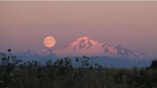 Canada Will See So Many Celestial Events This Year Including A ‘Super Blood Flower Moon’