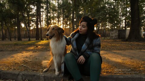 A woman pets a dog in a park.