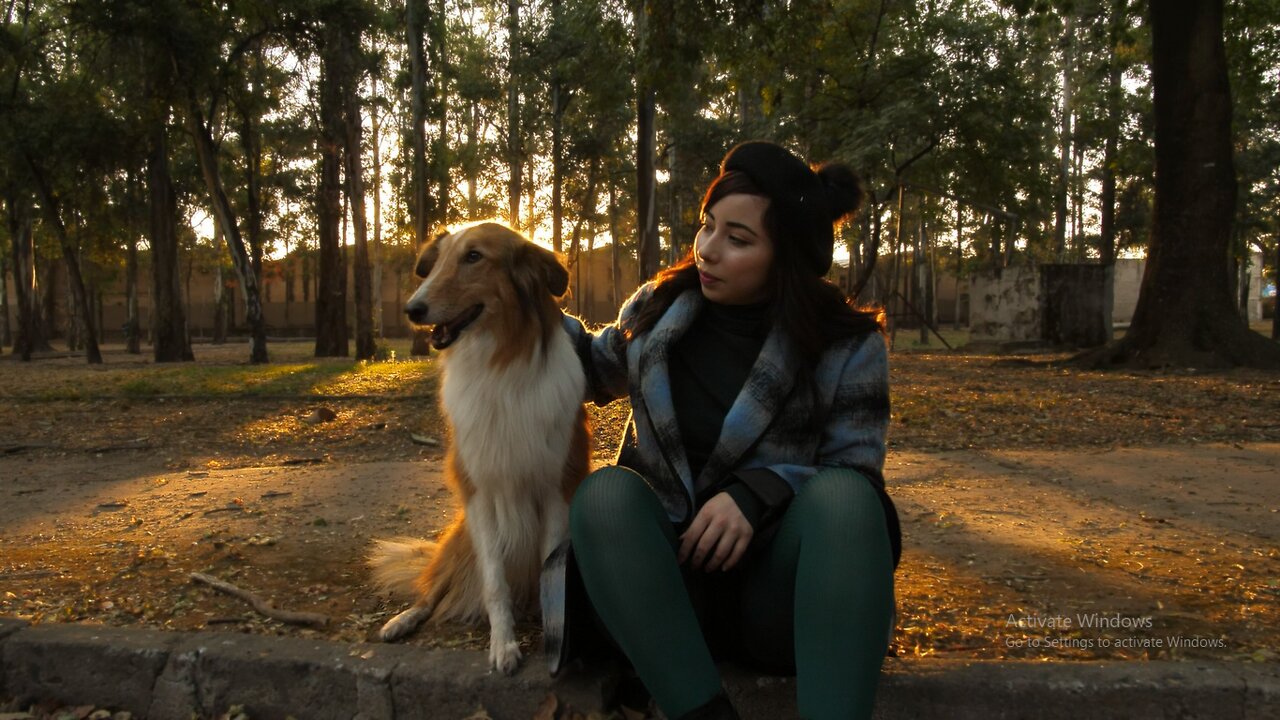 A woman pets a dog in a park.