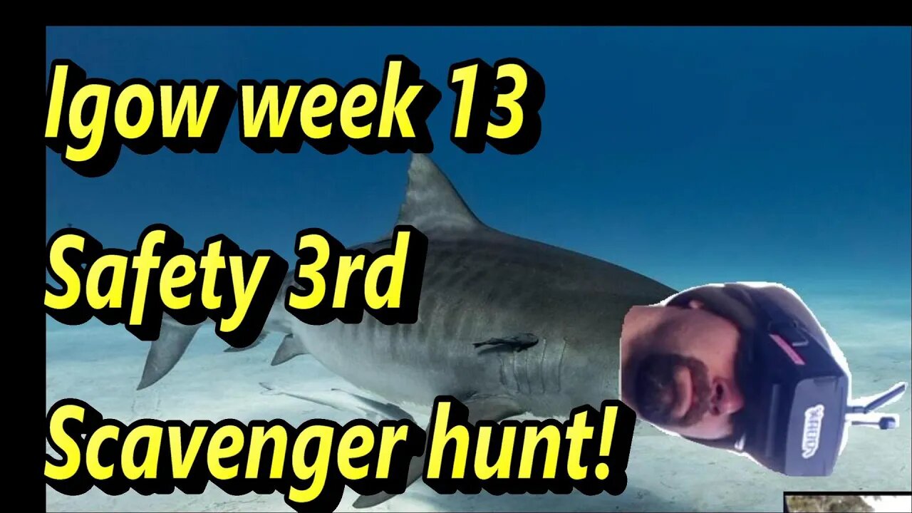 igow week 13 (Safety 3rd scavenger hunt & rap video response)