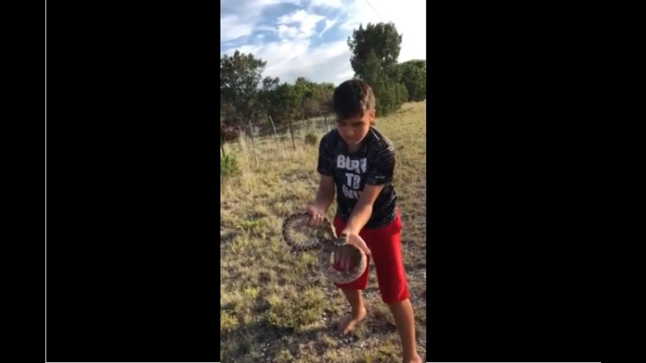 Real life Mowgli casually picks up rattlesnake