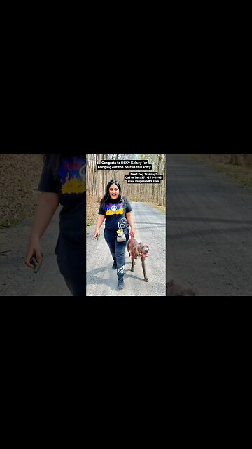 Dog Training #dogtraining