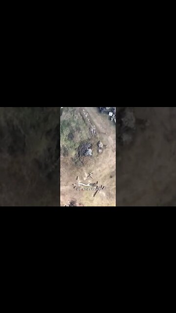 "Brave" from the front congratulate our dear women on March 8. #short