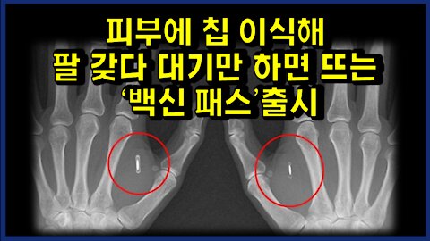 [#324] 피부에 칩 이식해 팔 갖다 대기만 하면 뜨는 '백신 패스’출시