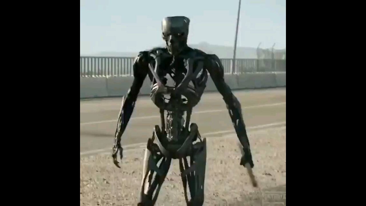 Terminator Robot