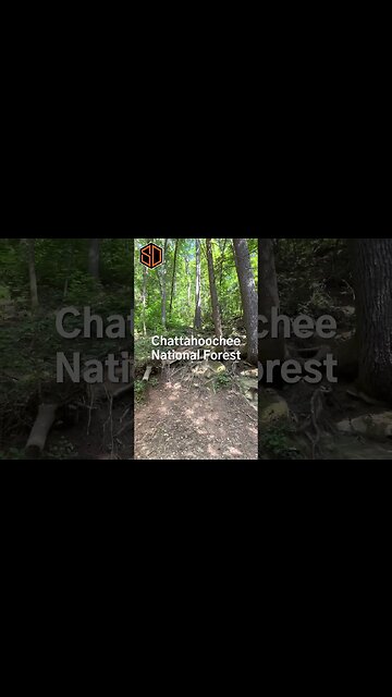 Miss Piggy the Pitbull Climbs Brasstown Bald