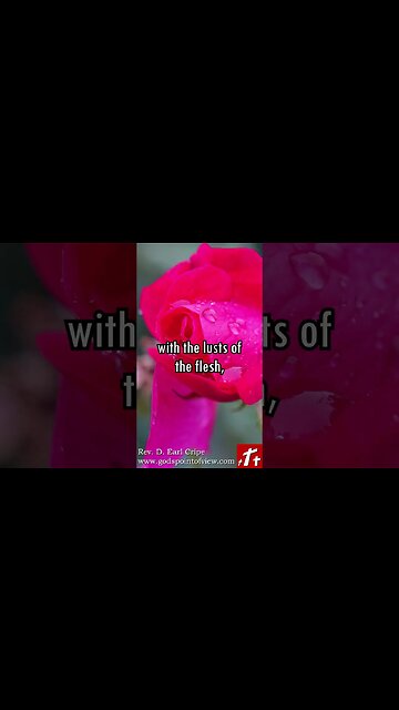 Christians! You Did it to Yourself! | God's Point of View (Short #48)