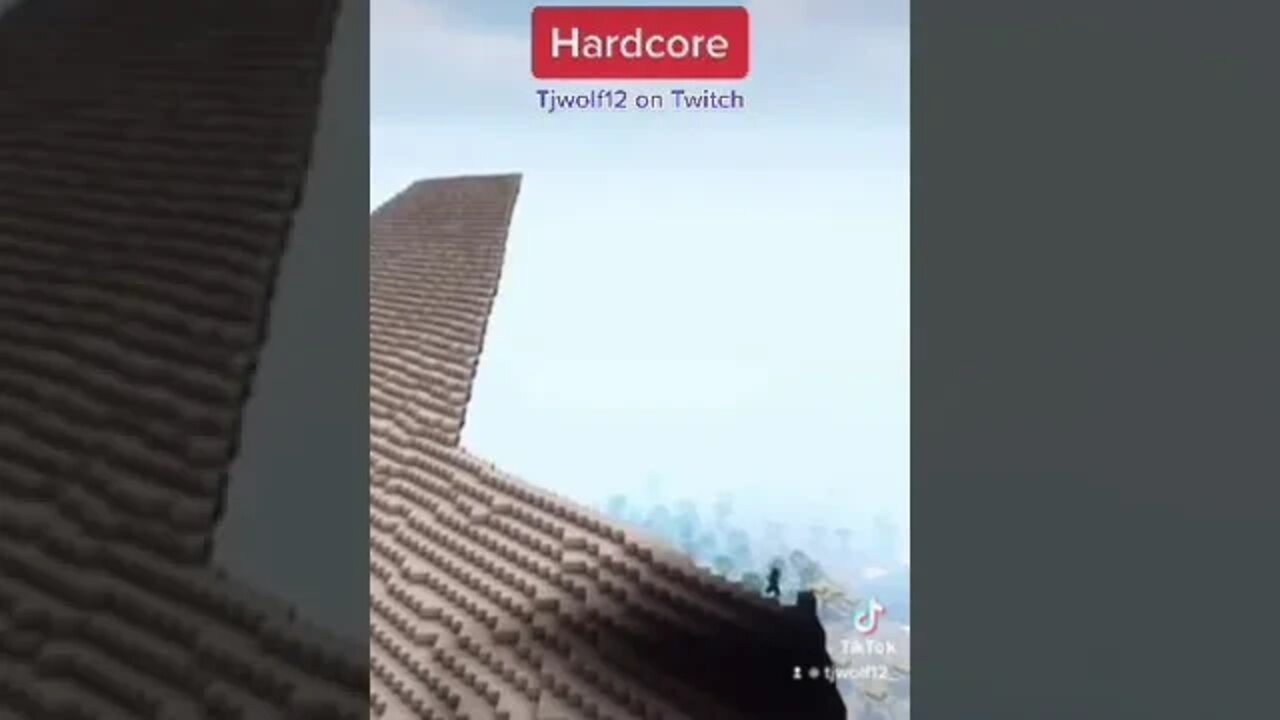 Big build in Hardcore!